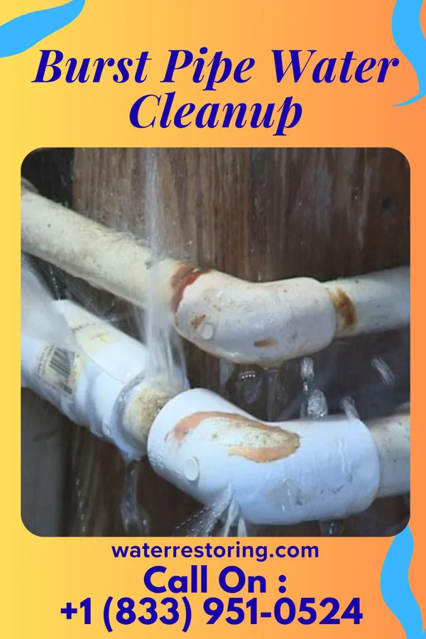 Burst Pipe Water Cleanup in Sinking Spring, PA