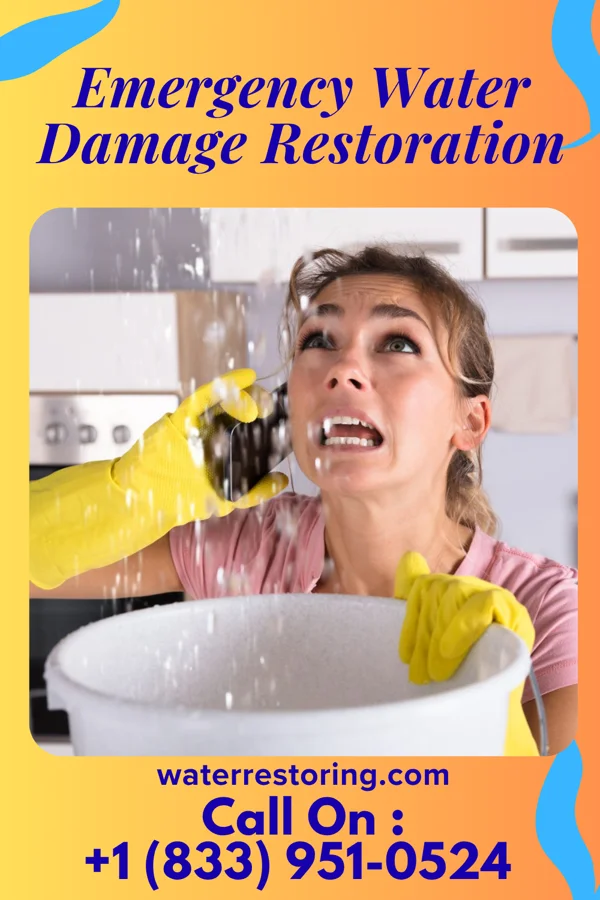 Emergency Water Damage Restoration in Sinking Spring, PA