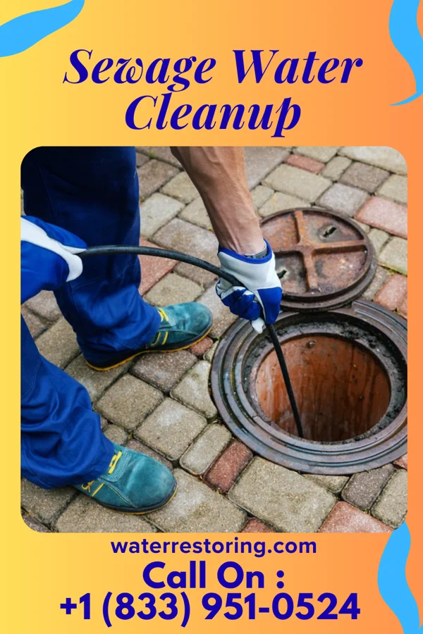 Sewage Water Cleanup in Sinking Spring, PA