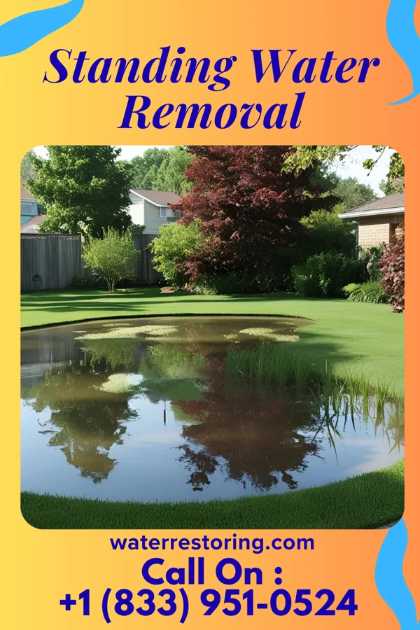 Standing Water Removal in Sinking Spring, PA